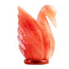 Untitled design (13)