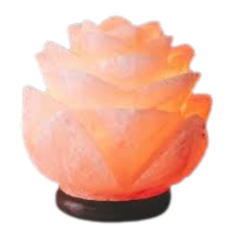 Untitled design (18)